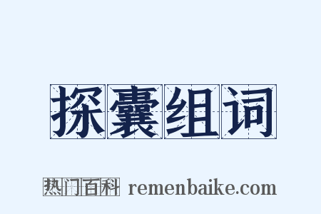 探囊组词是什么意思的图片
